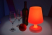 Lampe de table LED - 17 x 25.5 cm - Multicolore 
