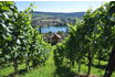 Wein & Käse Degustation - Geschenk in Stein am Rhein 2