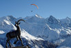 Vol en parapente - Biplace à Zinal | 1 personne 1