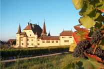 Besuch und Degustation - auf einem Weingut in Cressier