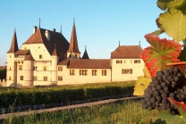 Besuch im Weingut  - mit Wein Degustation