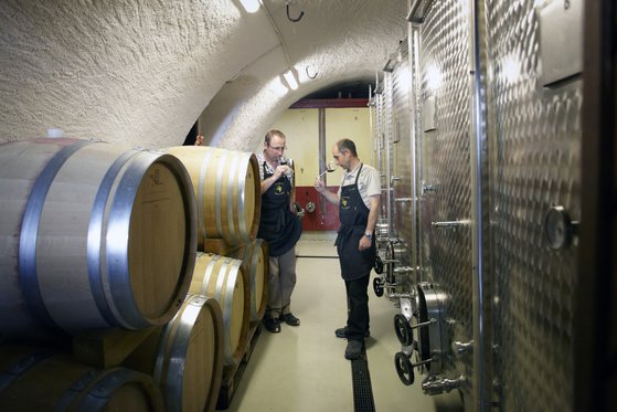 Visite & dégustation pour 2 - Avec 4 bouteilles offertes - Cave des Lauriers (NE) 2  Visite & dégustation pour 2 - Avec 4 bouteilles offertes - Cave des Lauriers (NE) 2
