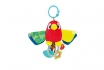 Papagei Greifling - Mama&Baby Papagei 