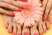 Pedicure mit Gelnägeln - French Nails oder farbig 1