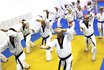 Taekwondo Abo (FR) - Kurs für Erwachsene 
