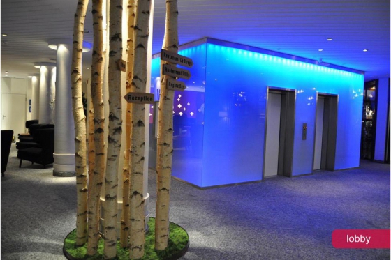 Erholung und Wellness - im RAMADA Hotel Regina Titlis 2 