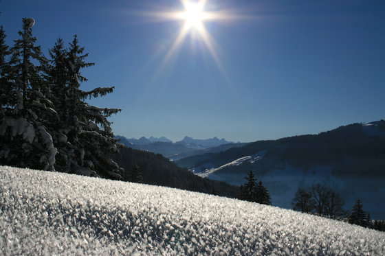 Titel - Untertitel 1 