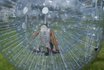 Zorbing Erlebnis Engelberg - Je 7 Zorb Fahrten für 2 Personen 1