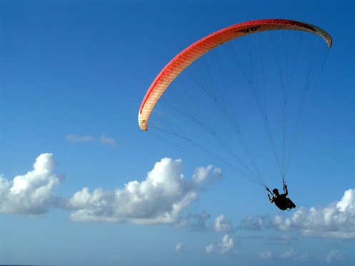 Parapente à Gstaad - 1 vol pour 1 personne 1 