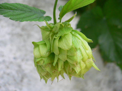 Titel - Untertitel 3 