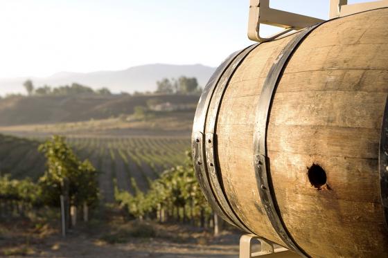 Faire du vin soi-même - Bon cadeau Assemblage 1 