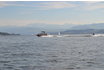 Wakeboarden & Wakesurfen - Wasser Action auf dem Zürichsee 7