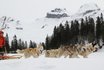 Journée avec les huskies - à Hoch-Ybrig 