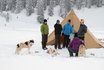 Journée avec les huskies - à Hoch-Ybrig 3