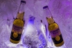 Iglu Übernachtung für 4 - inkl. Fondue, Schneeschuhwanderung & Aperitif 17