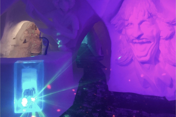 Iglu Übernachtung für 4 - inkl. Fondue, Schneeschuhwanderung & Aperitif 10 