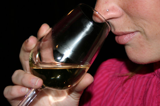 Wein Degustation - inkl. Apéro und 2 Flaschen Wein 9 