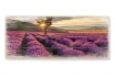 Holzbild - Lavendeblüte in der Provence 01 - Panorama   - 100x40cm  