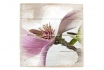 Image en bois - Magnolia   - 40x41,5 cm 1