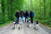 Journée de trekking avec huskys - Dans le Weinland zurichois 1