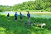 Journée de trekking avec huskys - Dans le Weinland zurichois 5