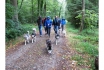 Journée de trekking avec huskys - Dans le Weinland zurichois 6