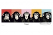 Chimps Poster Popart Steez - 5 Schimpansen 