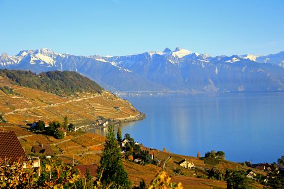 Dégustation de vins - Plus de 200 caves à choix   Dégustation de vins - Plus de 200 caves à choix