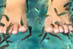 Fish Spa des pieds - Soin par les poissons 