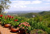 Séjour à deux en Toscane - 7 nuits en appartement de charme 5