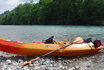 Tour en kayak pour 5 personnes - Le long de la courbe de l'Aare 