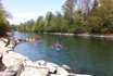 Tour en kayak pour 5 personnes - Le long de la courbe de l'Aare 2