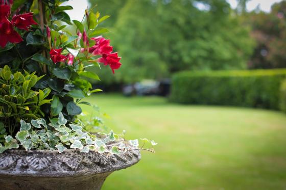 Séjour wellness à Yverdon - 1 nuit avec demi-pension à 3 plats et entrées aux bains inclus 7 