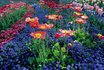 Nuit au Lac de Constance - et visite de l’île au fleurs 5