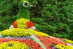 Übernachtung am Bodensee - inkl. Besuch der Blumeninsel Mainau 6