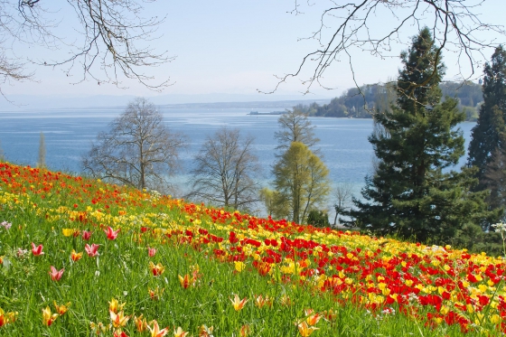 Übernachtung am Bodensee - inkl. Besuch der Blumeninsel Mainau  