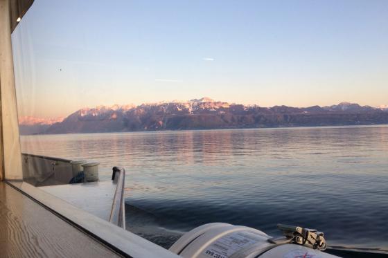 Détective pour un soir - Repas Meurtres et Mystères pour 1 personne | sans forfait boissons 8 