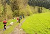 Husky Kindergeburtstag - Husky Wanderung und Picknick 