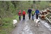 Husky Kindergeburtstag - Husky Wanderung und Picknick 1