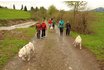 Husky Kindergeburtstag - Husky Wanderung und Picknick 2