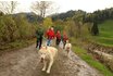 Husky Kindergeburtstag - Husky Wanderung und Picknick 3