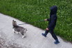 Husky Kindergeburtstag - Husky Wanderung und Picknick 6