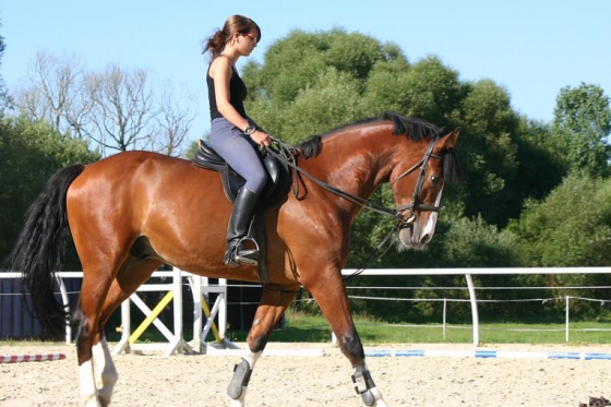 Ladies World - Wishbox - 1 Box - über 25 Erlebnisse 6 