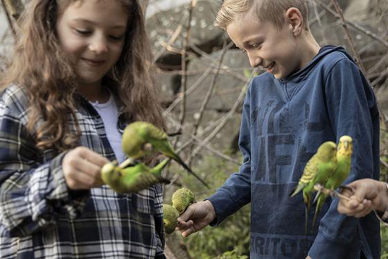 Zoo Familieneintritt - für 2 Erwachsene und 2 Kinder 5 