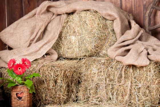 Romandie Classic - Wishbox - 1 Box - über 25 Erlebnisse 10 