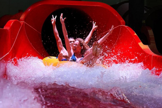 Tagesausflüge - Wishbox - 1 Box - über 25 Erlebnisse 10 