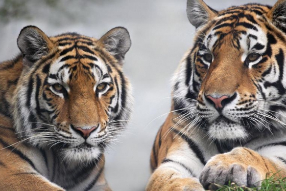 Tagesausflüge - Wishbox - 1 Box - über 25 Erlebnisse 12 