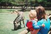 Sonntagsbrunch im Zoo - Brunch Erlebnis für 2 Personen 1