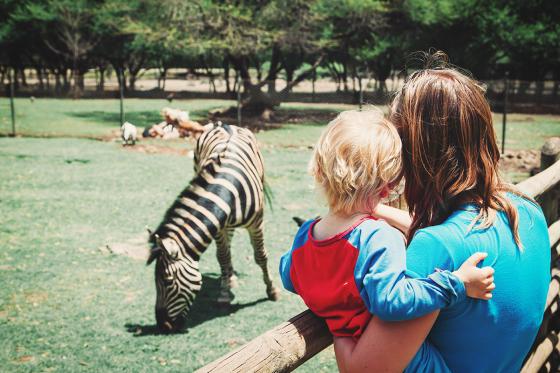 Sonntagsbrunch im Zoo - Brunch Erlebnis für 2 Personen 1 