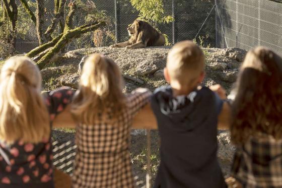 Sonntagsbrunch im Zoo - Brunch Erlebnis für 2 Personen 2 